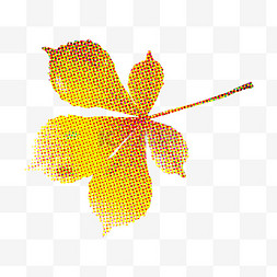 树叶脉络图片_秋季秋天枫树叶装饰彩色半调
