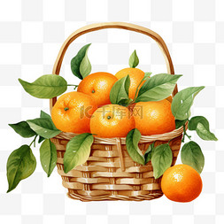 水彩新鲜橘子篮子免扣元素