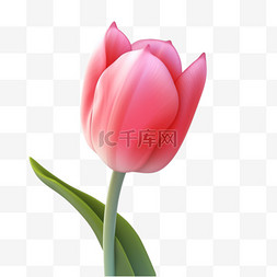 粉色效果图片_粉色郁金香一束植物AI立体效果素