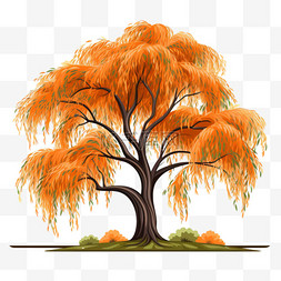 秋季树木插画图片_秋季柳树植物树木花卉秋天树木插