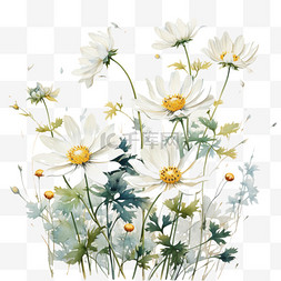 水彩花卉绿植图片_水彩风植物花卉花朵绿植金黄色花