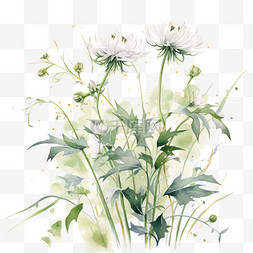水彩花卉绿植图片_水彩风植物花卉花朵绿植花蕾点彩