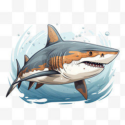 扁平风鲨鱼野生动物宠物动物插画