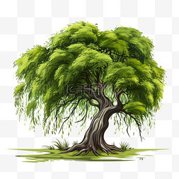 柳树扁平图片_扁平植物绿色柳树清新绿植