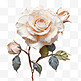 油画玫瑰浪漫风格植物风景画装饰美观
