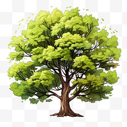 淡雅植物图片_扁平植物树木高大绿色清新绿植淡