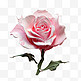油画风格植物风景画装饰玫瑰美观