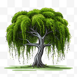 柳树扁平植物绿色清新绿植