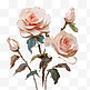 油画玫瑰风格植物风景画装饰美观