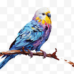 小鸟油画风格动物可爱装饰画