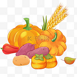 秋季农作物南瓜柿子番薯丰收立秋秋天