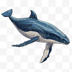 绘本动物图片_扁平动物座头鲸可爱生动卡通绘本