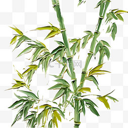 油画竹子风格植物风景画装饰美观