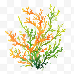 珊瑚海藻卡通元素手绘
