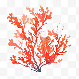 珊瑚海藻手绘卡通元素
