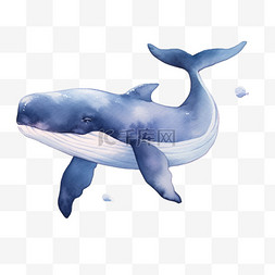 海洋背景卡通图片_海洋鲸鱼生物卡通手绘元素