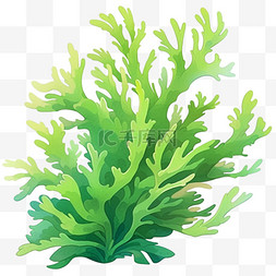 珊瑚海藻元素卡通手绘