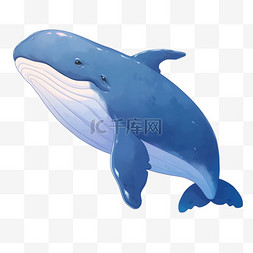 海洋生物鲸鱼手绘元素