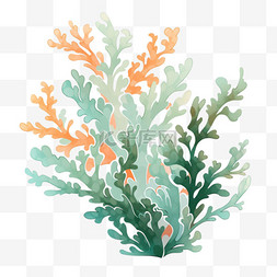 海藻手绘图片_珊瑚海藻元素卡通