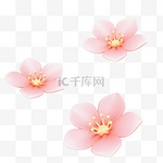3D七夕桃花花朵