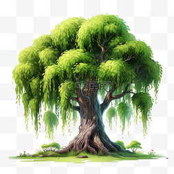 大树免抠图片_大树垂叶植物AI元素立体免扣图案