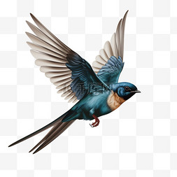 蓝色装饰羽毛图片_蓝色光泽羽毛的鸟AI元素立体免扣
