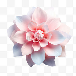 粉色花素材图片_花朵淡粉色花瓣植物俯视元素立体