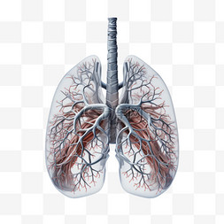 人体肺部抽象艺术AI元素立体免扣