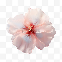 薄透明图片_粉色透明薄花瓣美丽AI元素立体免