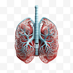 肺部气管图片_红色肺部呼吸气管AI元素立体免扣