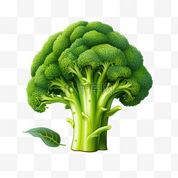 花椰菜图案图片_绿椰菜蔬菜绿叶AI立体素材效果元