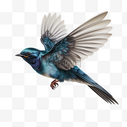 蓝色装饰羽毛图片_鸟蓝色光泽羽毛展翅侧面元素立体