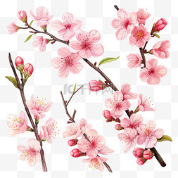 春天春季桃花枝条花枝组合AI元素