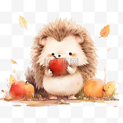 秋天苹果图片_手绘刺猬吃苹果元素卡通