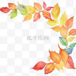 秋季彩色图片_彩色水彩插画树叶边框