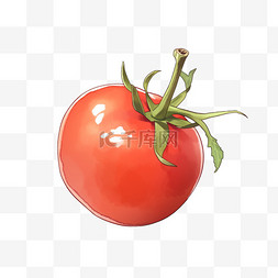 卡通红色的西红柿手绘元素