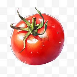 手绘西红柿图片_红色手绘西红柿免抠元素