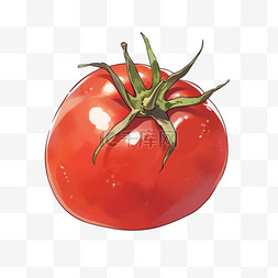 红色的西红柿手绘卡通元素