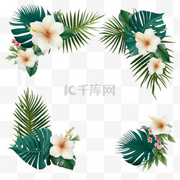 夏季热带植物花卉边框3