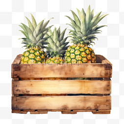 水果箱png图片_水彩菠萝水果箱子免扣元素