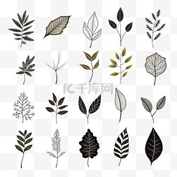 别致植物图片_植物涂鸦美丽的手绘树叶收藏