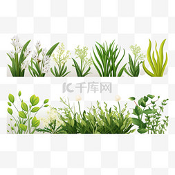 天然绿色植物图片_草地绿色植物底部装饰4