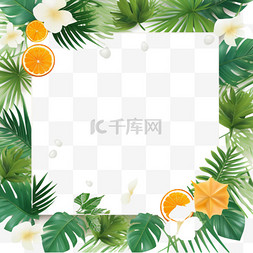暑假边框图片_夏季热带植物花卉边框2