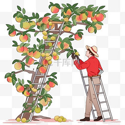 苹果园背景图片_扁平化手绘采摘苹果