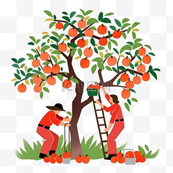 苹果园背景图片_丰收农民采摘苹果手绘元素