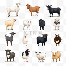 奶牛素描图片_农场动物收藏插图画风1