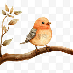 鸟可爱站在树枝上手绘形象圆润免