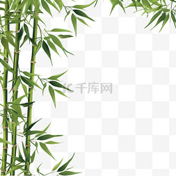 矢量竹子竹叶绿色植物3
