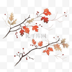 山楂树图片_山楂树秋天手绘免抠元素