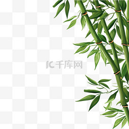 矢量竹子竹叶绿色植物1